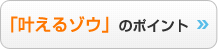 「叶えるゾウ」のポイント 